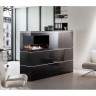 Биокамин Spartherm Ebios-fire 2L